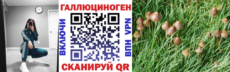 Псилоцибиновые грибы мицелий  закладки  Алупка 
